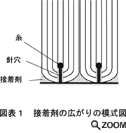 図1 接着剤の拡がり